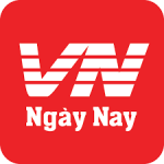 CÔNG TY TNHH CÔNG NGHỆ MẠNG THÔNG TIN VIỆT NAM (VN NGÀY NAY)