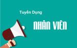 CÔNG TY TNHH CÔNG NGHỆ PAREFONE