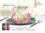 CÔNG TY TNHH ĐẠI DƯƠNG XANH