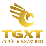 CÔNG TY TNHH ĐẦU TƯ MINH NHI