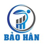 CÔNG TY TNHH ĐẦU TƯ THƯƠNG MẠI VÀ PHẦN MỀM ĐIỆN TỬ BẢO HÂN