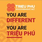 Công ty TNHH Đầu tư Triệu Phú
