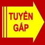 Công Ty TNHH Đầu Tư Và Phát Triển Tây Bắc Bộ