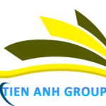 Công Ty TNHH Đầu Tư Xây Dựng Và PTTM Tiến Anh