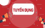 công ty tnhh Diệu Thế