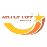 Công ty TNHH ĐT Hoàng Việt