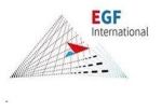 Công Ty TNHH EGF International (Việt Nam)