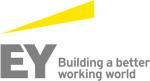 Công ty TNHH Ernst & Young Việt Nam