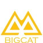 Công ty TNHH Giải trí Truyền thông Big Cat