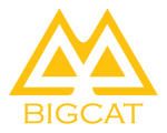 Công ty TNHH Giải trí truyền thông Big Cat