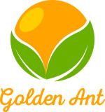CÔNG TY TNHH GOLDEN ANT