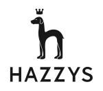 Công ty TNHH Hazzys Việt Nam