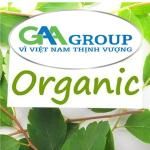 Công Ty TNHH Hợp Tác Quốc Tế Gaa Group