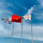 CÔNG TY TNHH KHOA HỌC KỸ THUẬT NÔNG NGHIỆP CHĂN NUÔI ALPHAFEED VIỆT NAM