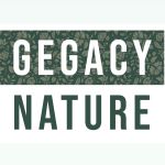 CÔNG TY TNHH LÁGLOW LEGACY VIỆT NAM