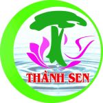 CÔNG TY TNHH MÔI TRƯỜNG ĐÔ THỊ THÀNH SEN