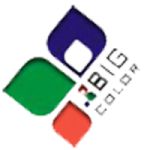 CÔNG TY TNHH MỘT THÀNH VIÊN BIGCOLOR VIỆT NAM
