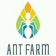 CÔNG TY TNHH MTV ANT FARM