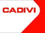 CÔNG TY TNHH MTV CADIVI ĐỒNG NAI - CN CADIVI BẮC NINH