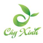 CÔNG TY TNHH MTV CÂY XINH