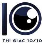 Công ty TNHH MTV Thị Giác 10/10