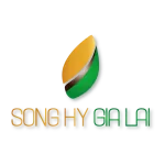 CÔNG TY TNHH QUỐC TẾ SONG HỶ GIA LAI
