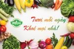 CÔNG TY TNHH SẢN XUẤT THƯƠNG MẠI DỊCH VỤ NGON MỖI NGÀY