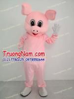 Công ty tnhh sx tm dv trường nam