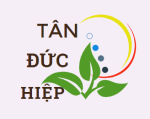 Công ty TNHH Tân Đức Hiệp