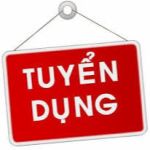 Công ty TNHH Thương mại điện tử Go-Viet