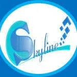 Công ty TNHH Thương Mại và Dịch Vụ Skyline Việt Nam