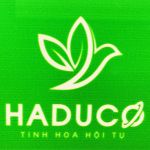 CÔNG TY TNHH THƯƠNG MẠI VÀ DỊCH VỤ YCG VIỆT NAM