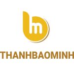CÔNG TY TNHH THƯƠNG MẠI VÀ XUẤT NHẬP KHẨU THÁI MỸ