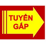Công ty TNHH TM, DV và sản xuất Thái Hưng