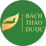 Công ty TNHH TMDP Bách Thảo Dược