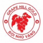 Công ty TNHH TMDV Đồi Nho Vàng
