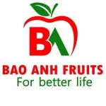 CÔNG TY TNHH TMDV XUẤT NHẬP KHẨU BẢO ANH