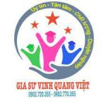 Công ty TNHH TRUNG TÂM GIA SƯ VINH QUANG VIỆT