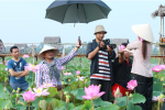 CÔNG TY TNHH TRUYỀN THÔNG BÚT VÀNG