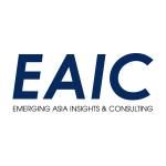 CÔNG TY TNHH TƯ VẤN VÀ DỊCH VỤ EMERGING ASIA INSIGHTS