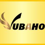 Công ty TNHH Vua Bảo Hộ