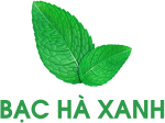 CÔNG TY TNHH XNK BẠC HÀ XANH