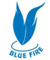 công ty trách nhiệm hữu hạn Blue Fire