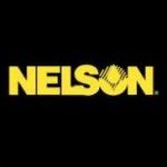 CÔNG TY TRUYỀN THÔNG VÀ MARKETING NELSON MEDIA