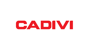 CÔNG TY TNHH MTV CADIVI MIỀN BẮC