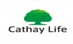 CTY TNHH BHNT CATHAY VIỆT NAM