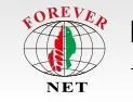 Cty TNHH Forever Industries
