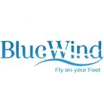 CÔNG TY TNHH SẢN XUẤT THƯƠNG MẠI VÀ DỊCH VỤ BLUEWIND