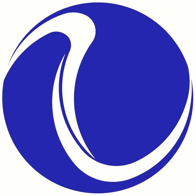 Công ty cổ phần VK
