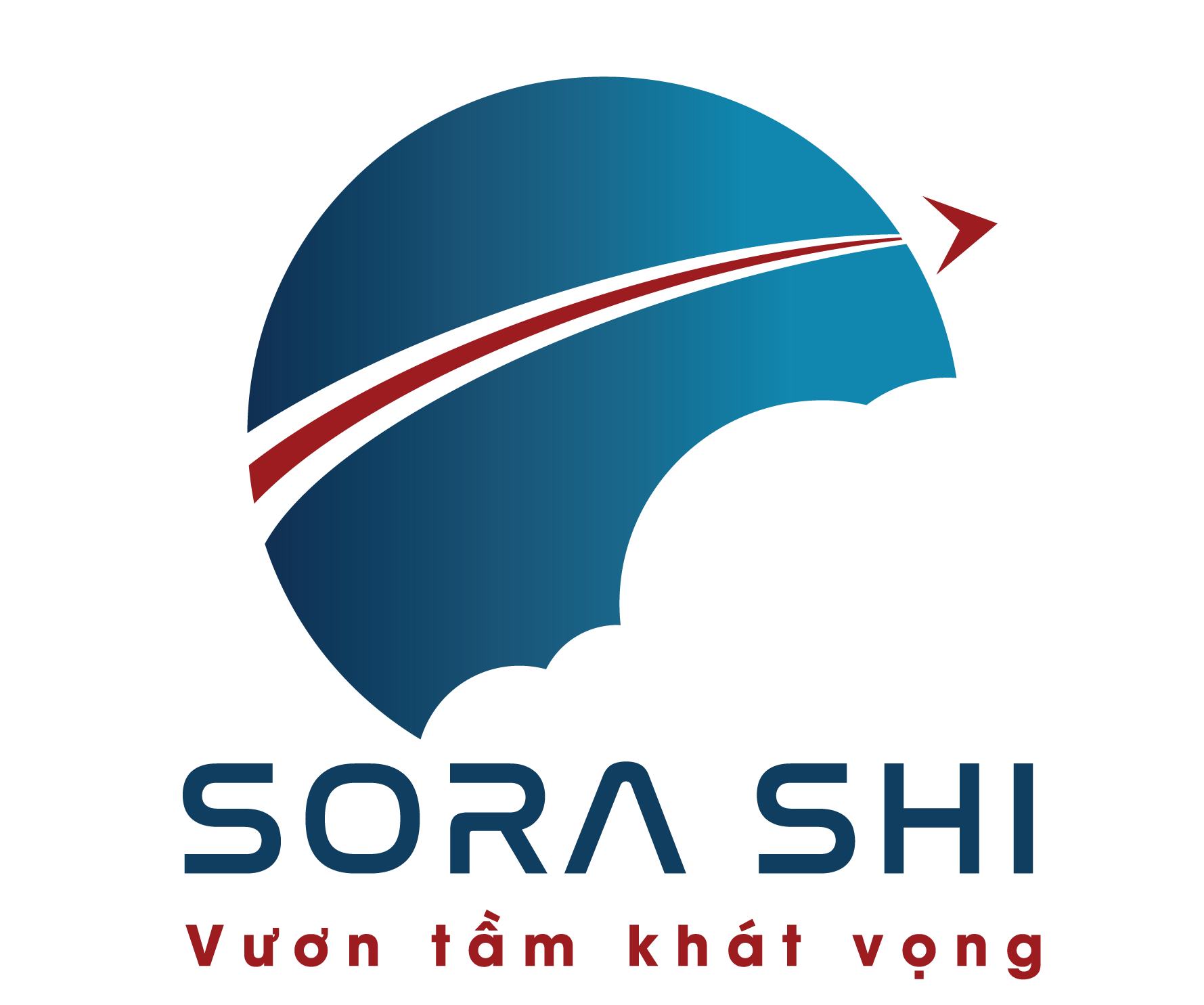 CÔNG TY CỔ PHẦN ĐẦU TƯ VÀ PHÁT TRIỂN SORA SHI